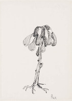 KT 1998 033
<br/>
Peer
<br/>
<em>Buisman, Sjoerd (1948)</em>